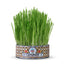 Cat Grass Mix Avena y Cebada, Pasto para Gato