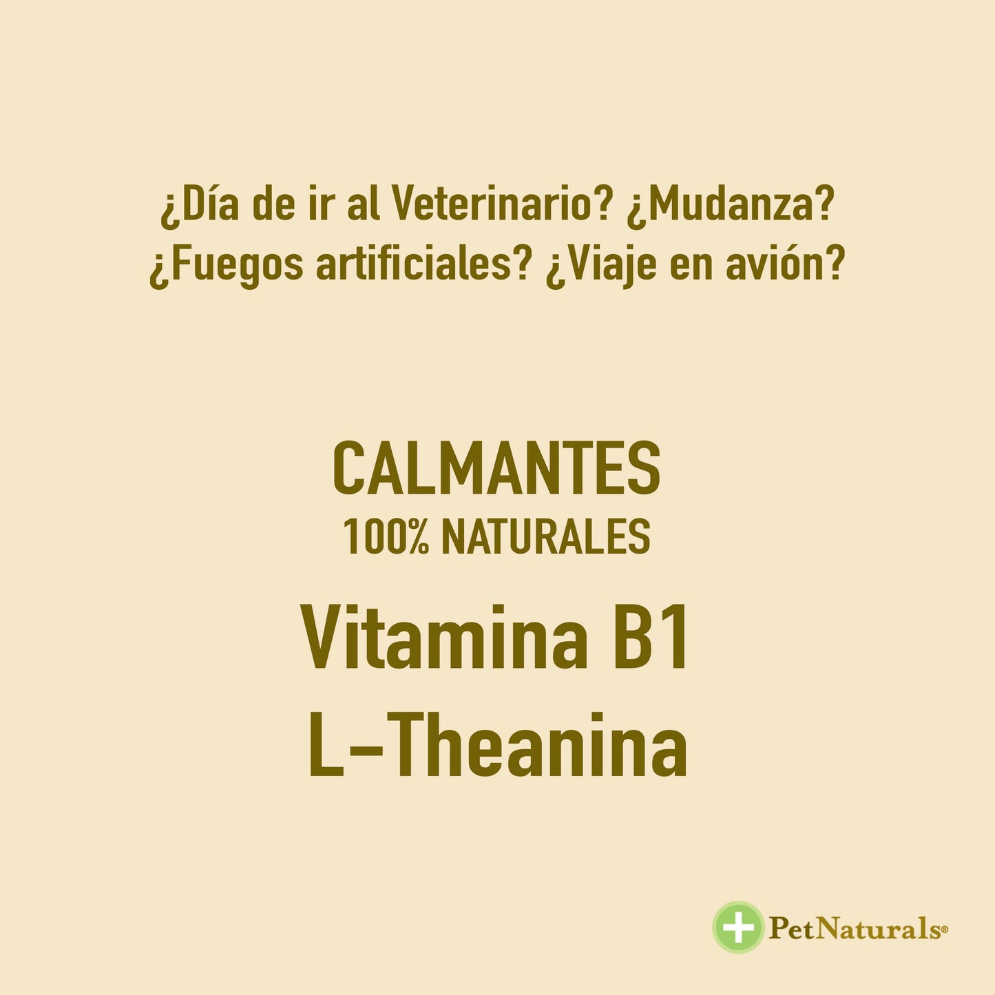 Calmantes para Gatos