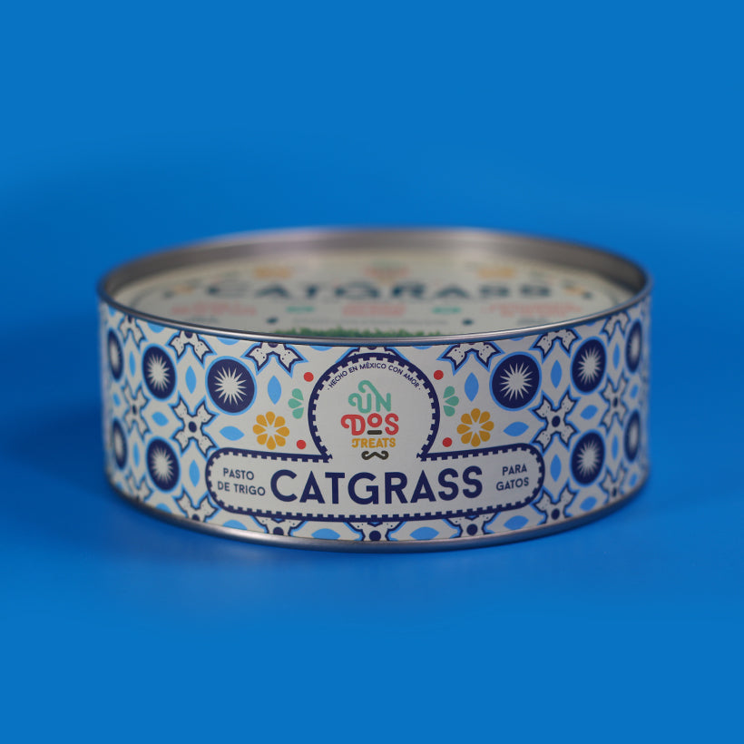 Catgrass de Trigo, Pasto para Gato