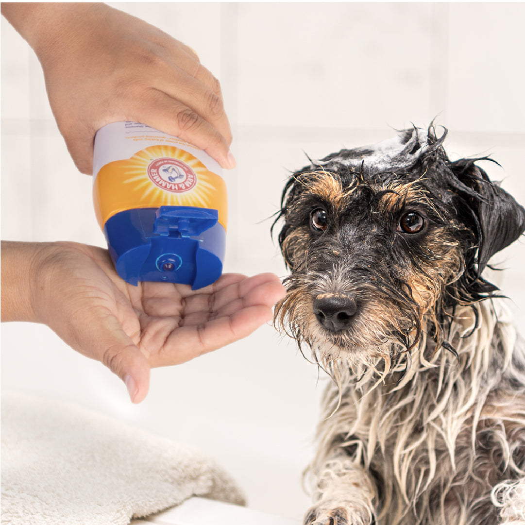 Arm & Hammer Shampoo para Perro Control de Olores, aroma Kiwi Blossom