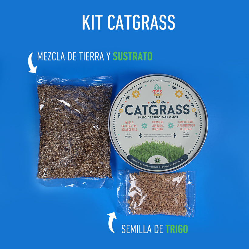 Catgrass de Trigo, Pasto para Gato