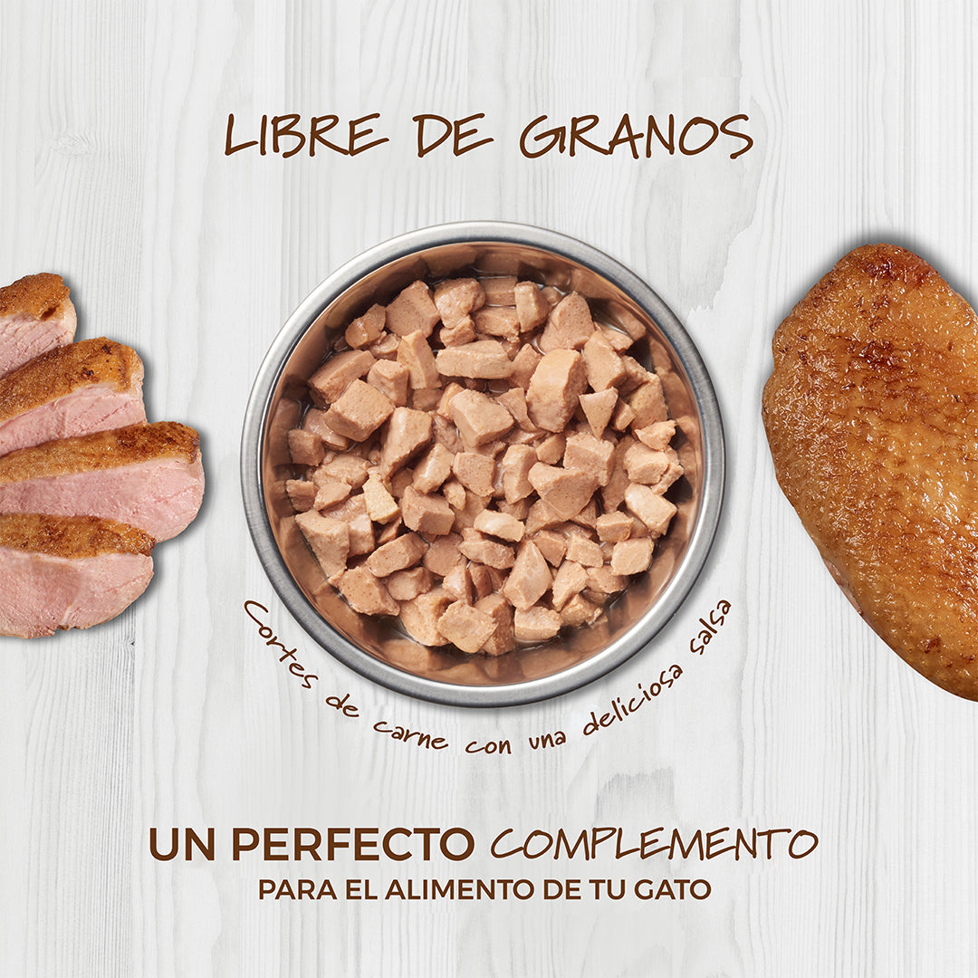 Alimento Húmedo Healthy Cravings Instinct Para Gato, Sobre Sabor Salmón. 85 g