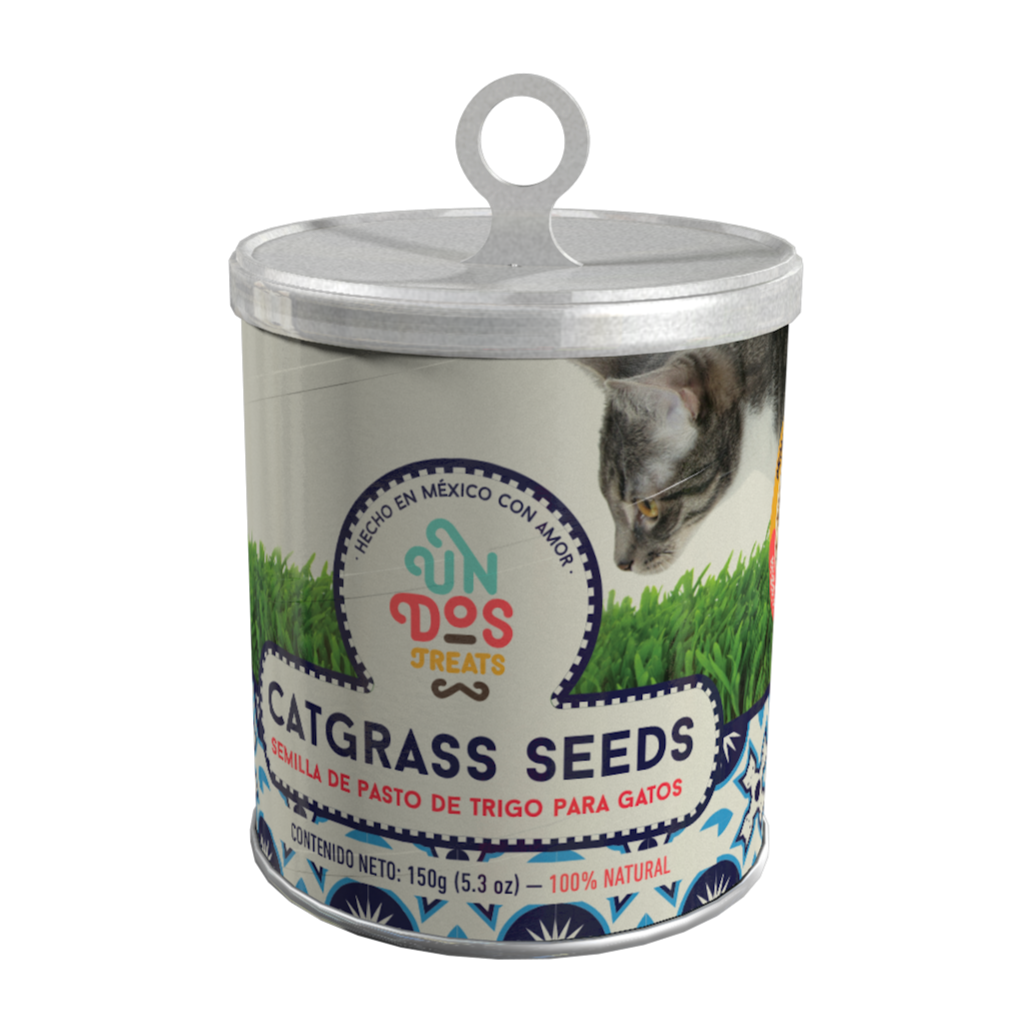 Catgrass Seeds Semillas de pasto de trigo para gatos