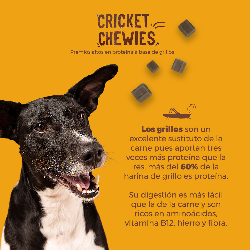 Premios Para Perros Cricket Chewies CriCreats, Altos En Proteínas A Base De Grillos. 85 g.