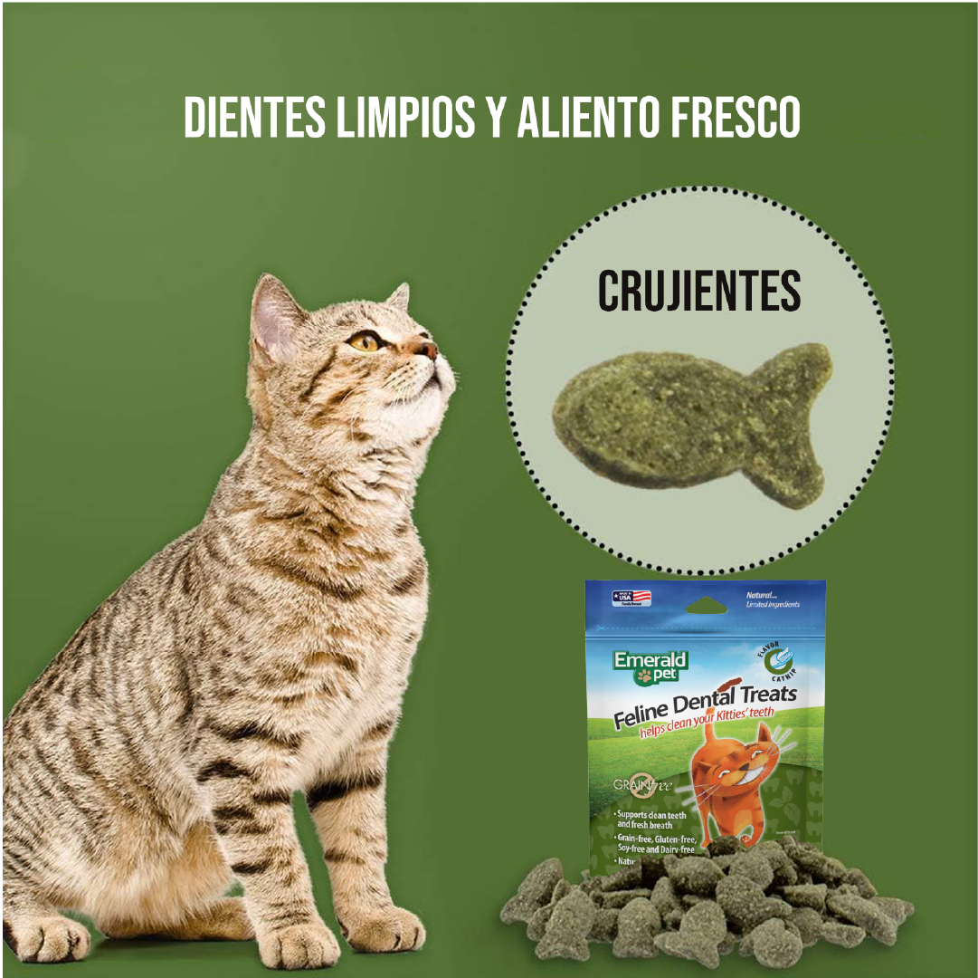 Emerald Pet Premios para Gatos Dental Treats, Sabor Catnip, Dientes Limpios, Fresh Pack 312gr