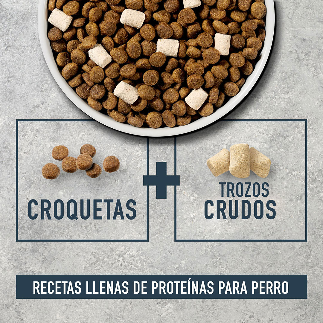 Instinct Raw Boost de Salmón con Granos y Arroz Integral para Perros 9.07 kg