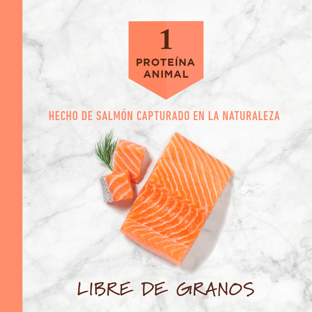 Instinct LID Salmón - Para Perros