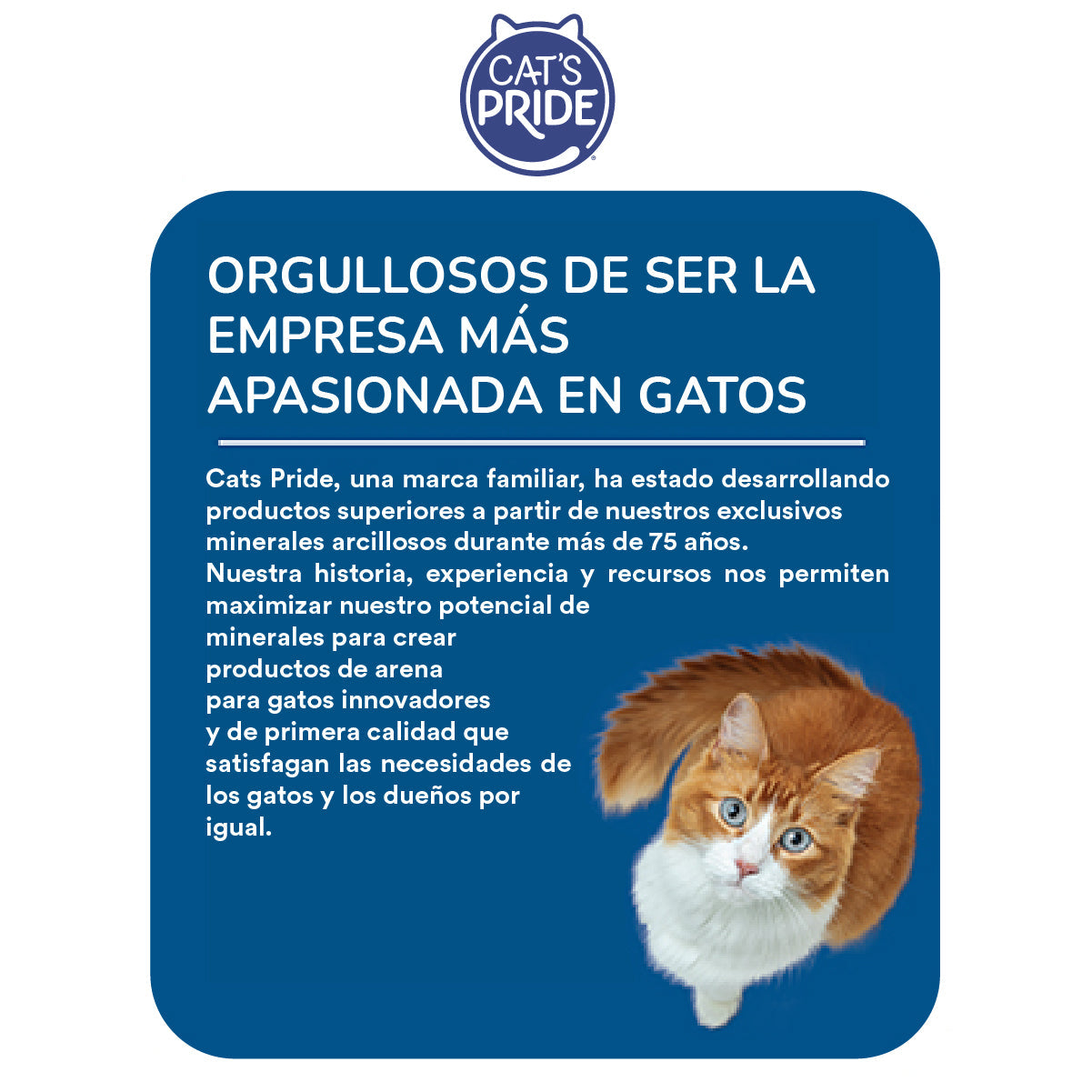 Cat's Pride Complete Arena para gatos No aglutinante, Elimina olores de múltiples gatos 20 lb