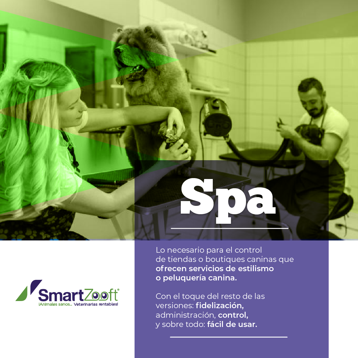 SmartZooft Versión SPA