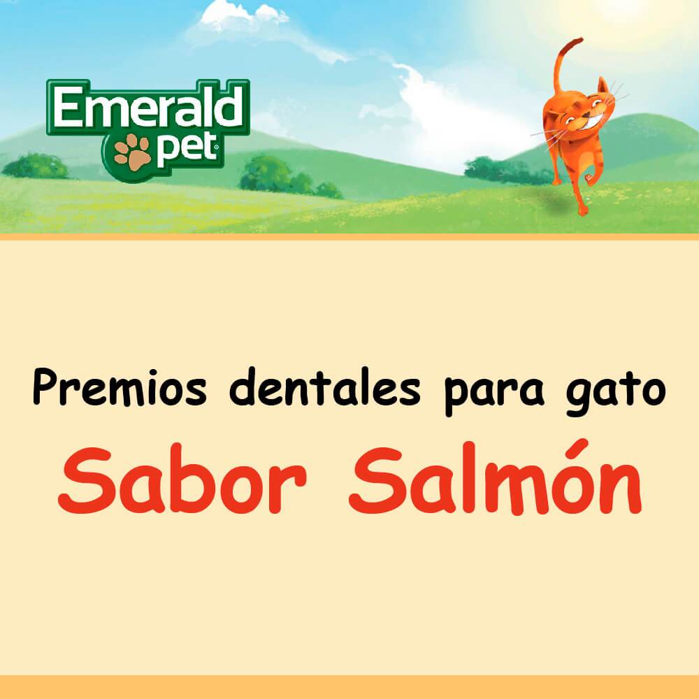 Dental Treats Salmón - Premios dentales