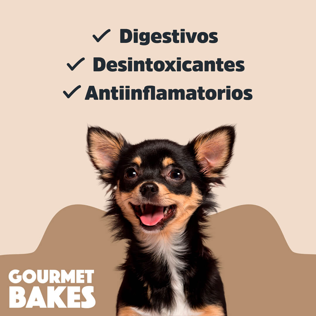 Gourmet Bakes de Trick & Treats: Dulce de Leche