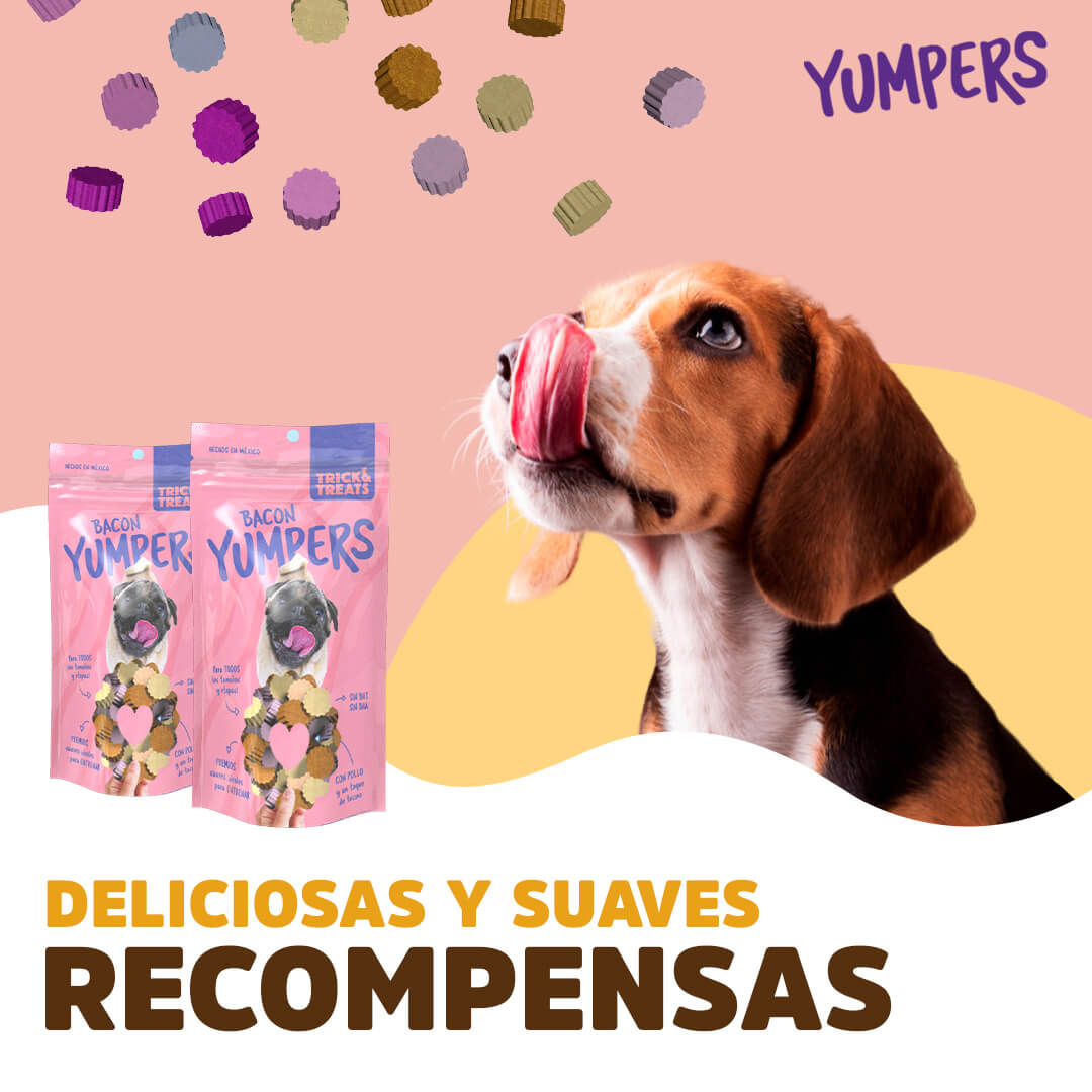 Yumpers de Trick & Treats: Tocino