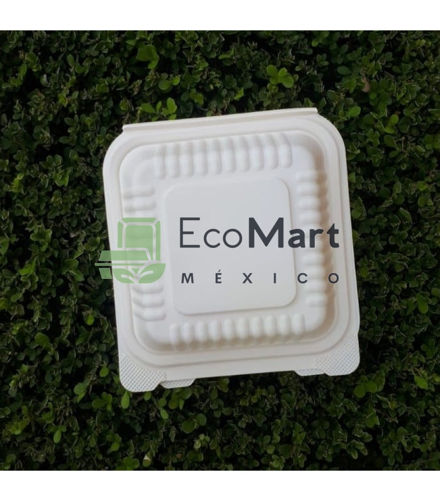 Almeja Natural 6X6 - Eco Mart Mexico