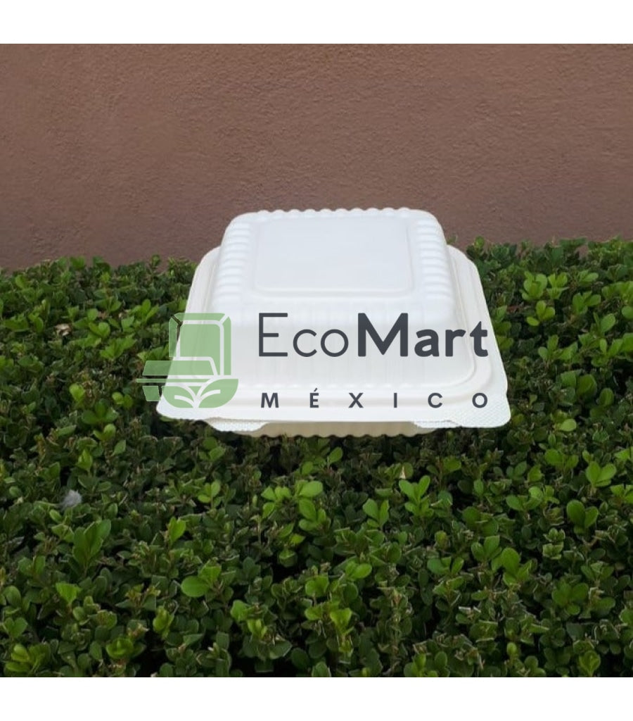 Almeja Natural 6X6 - Eco Mart Mexico