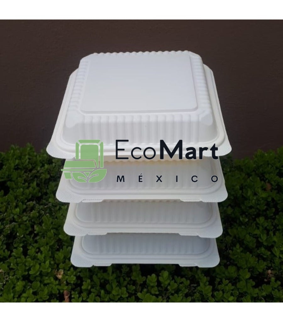 Almeja Natural 8X8 - Eco Mart Mexico