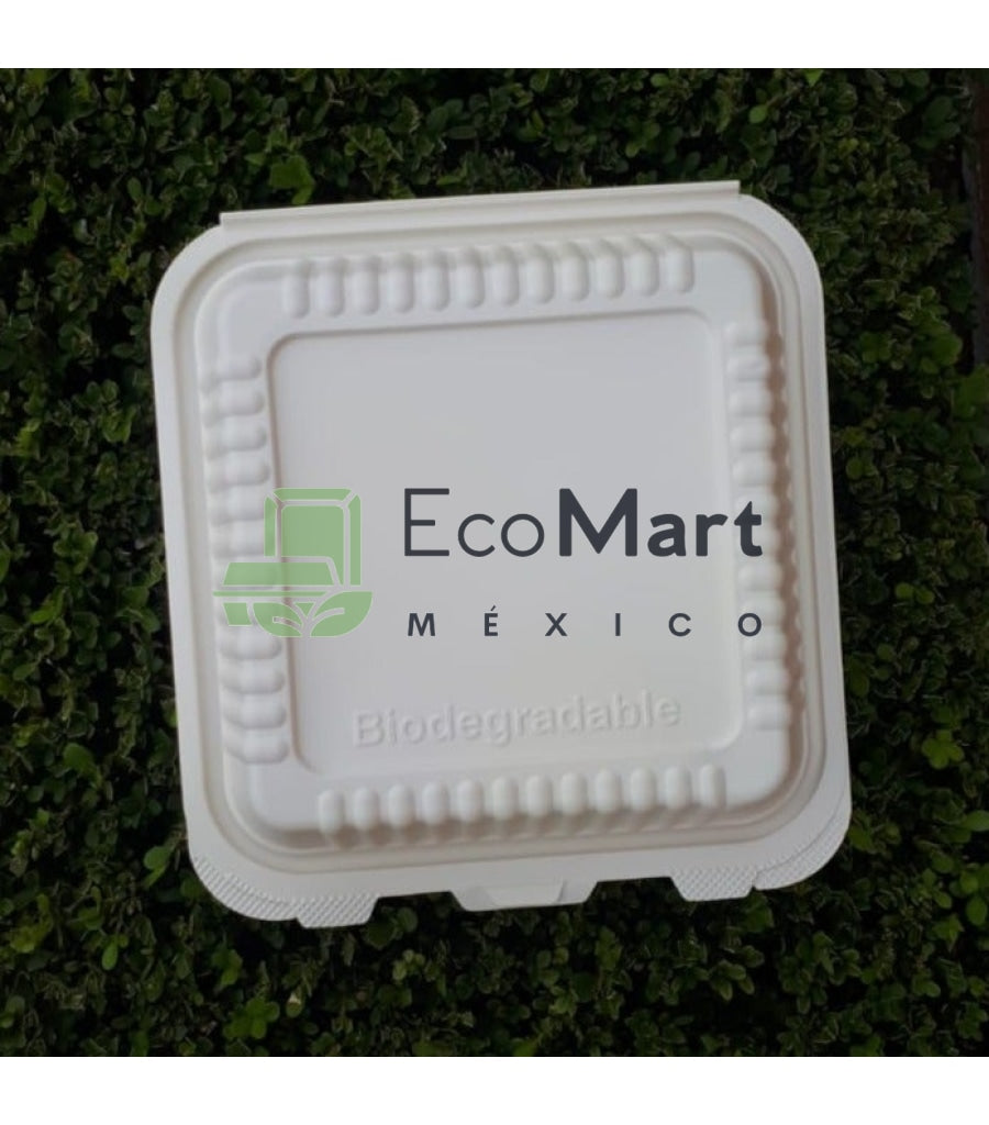 Almeja Natural 8X8 - Eco Mart Mexico