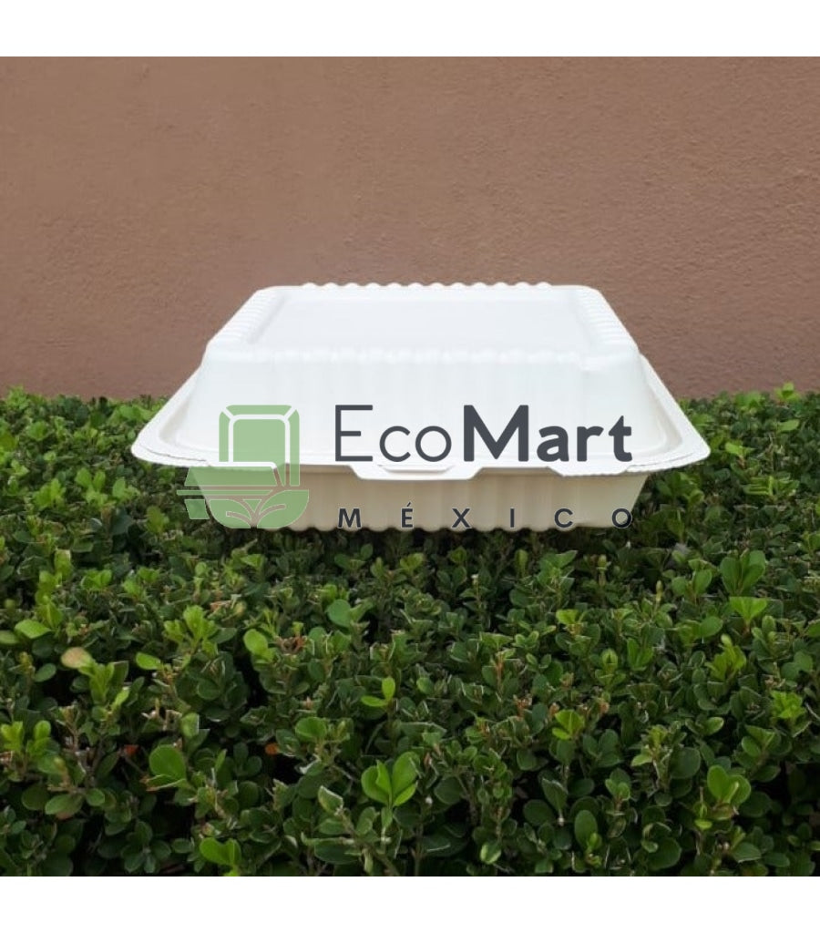 Almeja Natural 8X8 - Eco Mart Mexico