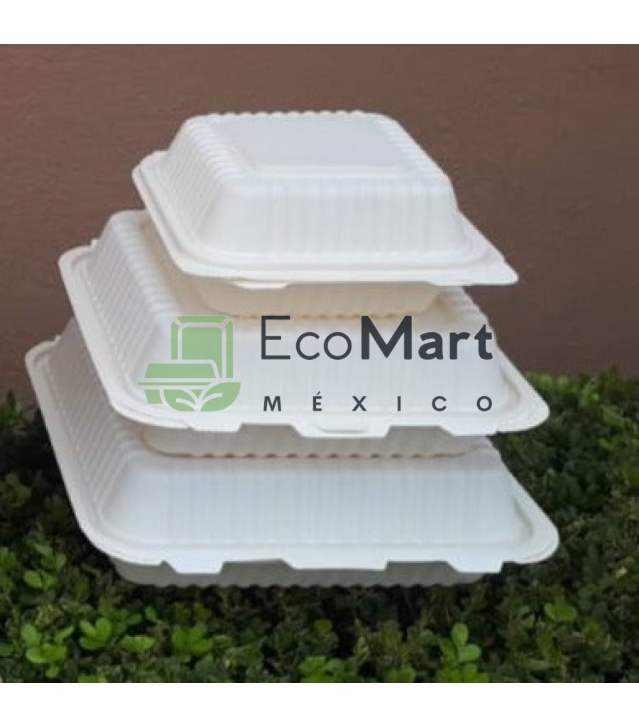 Almeja Natural 8X8 - Eco Mart Mexico