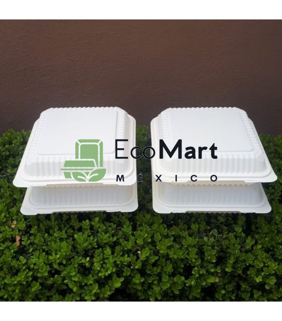 Almeja Natural 8X8 - Eco Mart Mexico